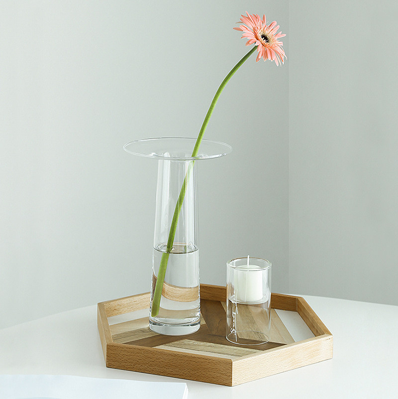 LIVETAI: jarrón de vidrio tran - Propagation Station Vase reseña y precio