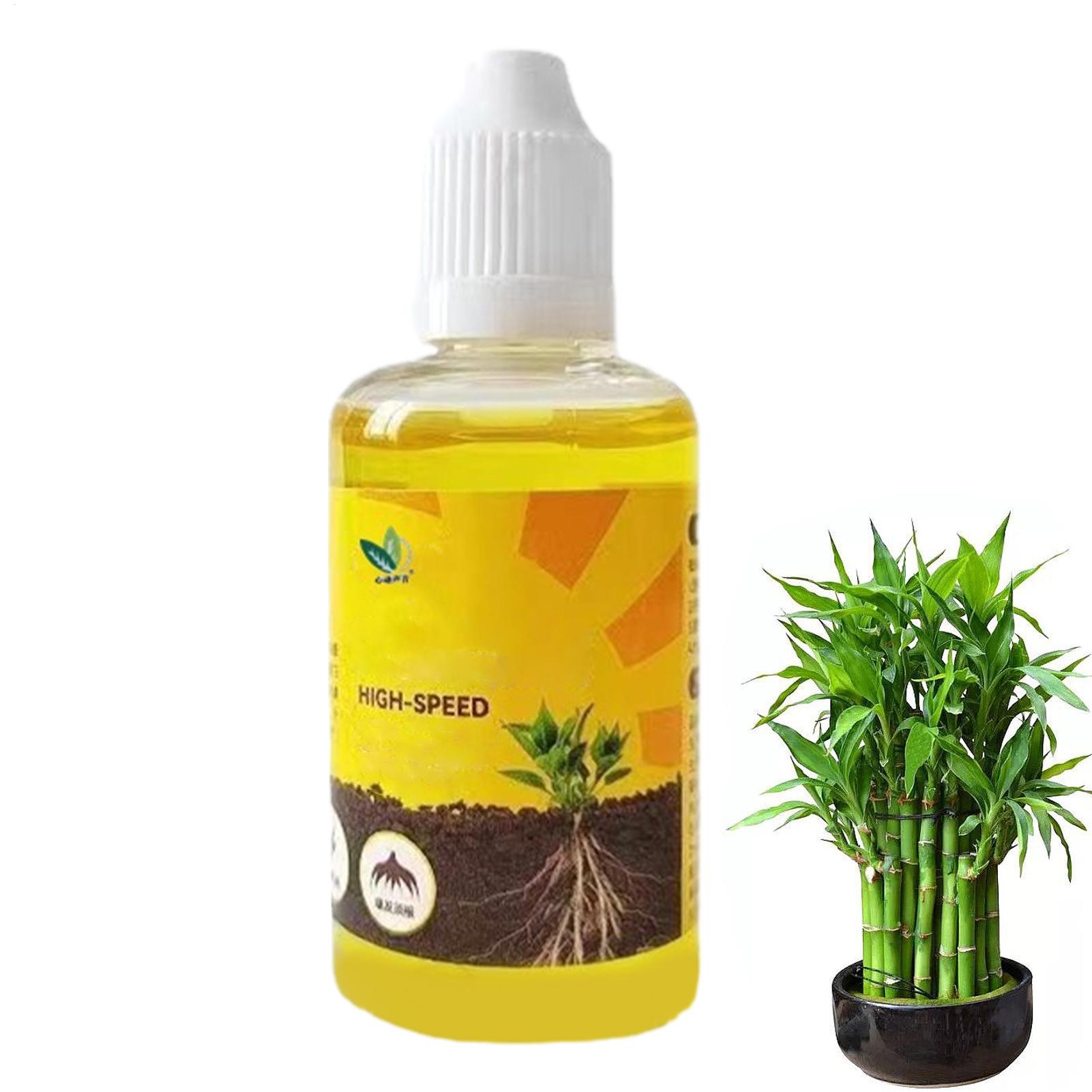 Estimulador de Enraizamiento d - Root Stimulator Liquid reseña y precio