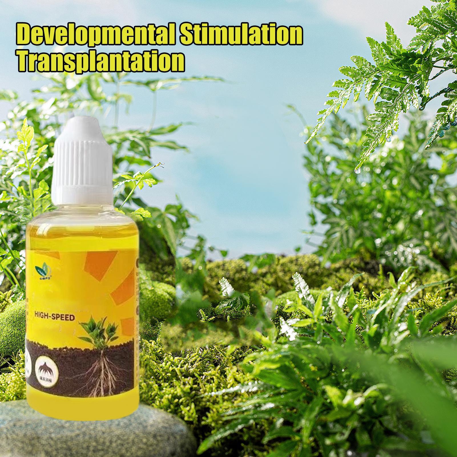 Estimulador de Enraizamiento d - Root Stimulator Liquid reseña y precio