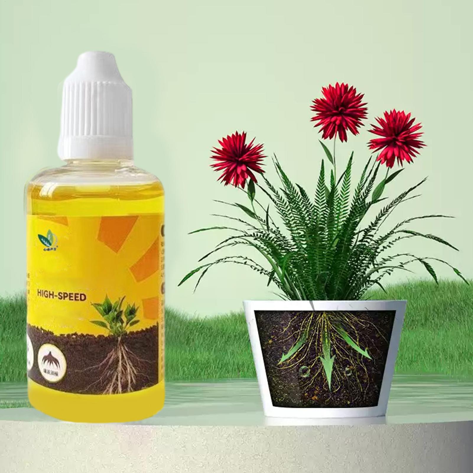 Estimulador de Enraizamiento d - Root Stimulator Liquid reseña y precio