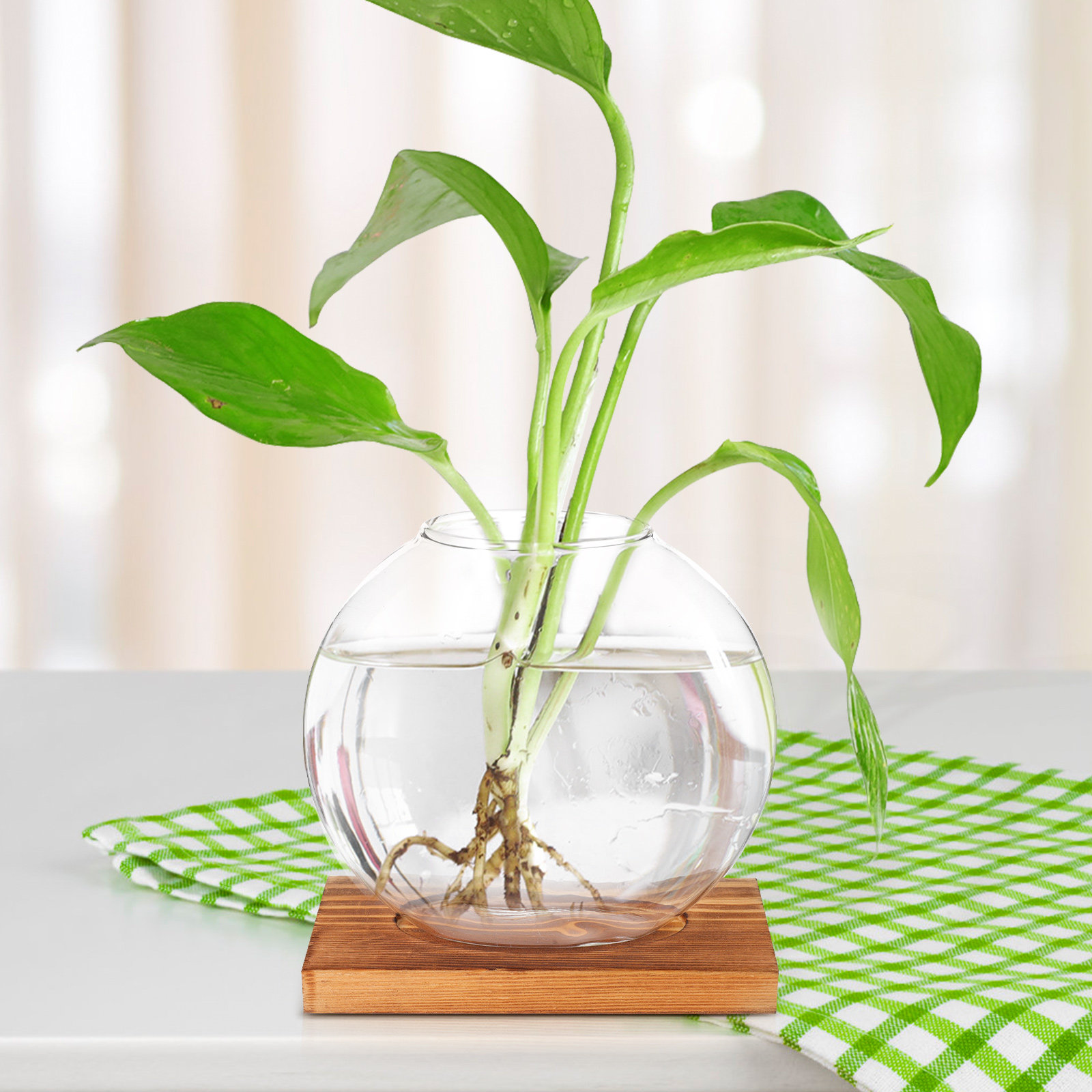 Jarrón Hidropónico de Vidrio c - Propagation Station Vase reseña y precio