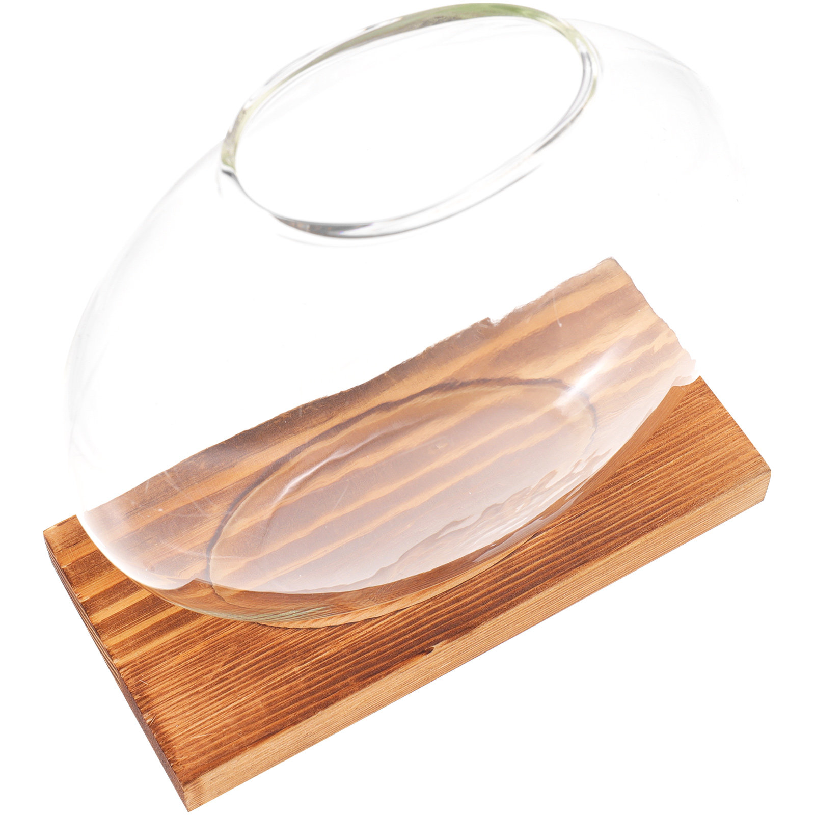 Jarrón Hidropónico de Vidrio c - Propagation Station Vase reseña y precio