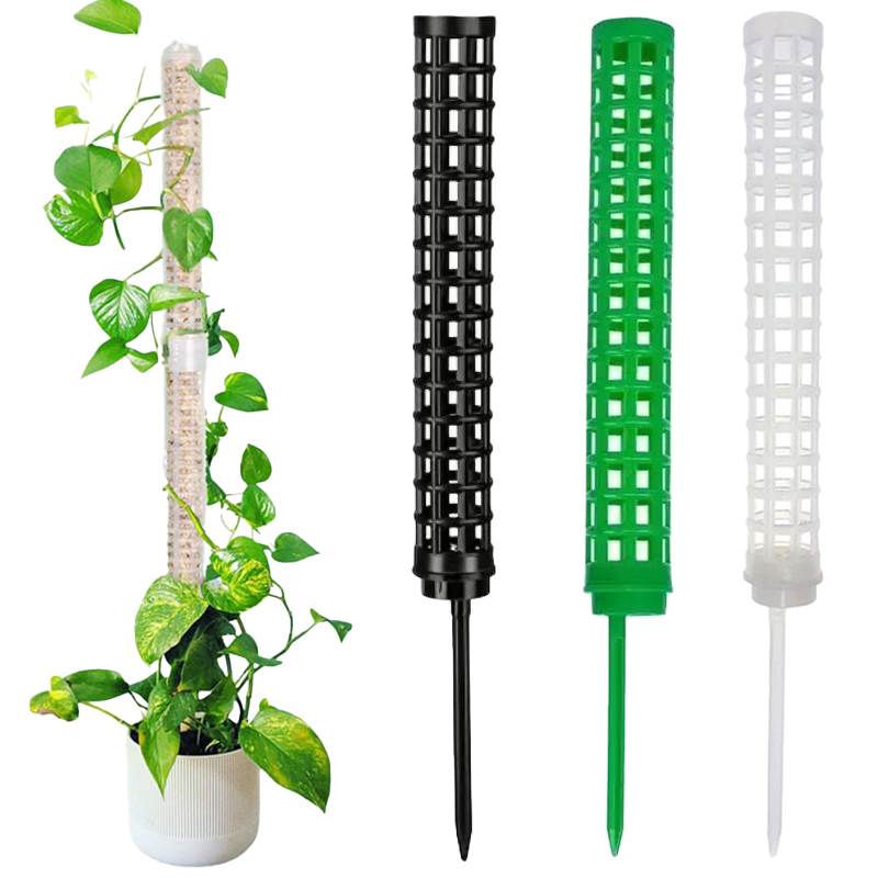 Columna de soporte para planta - Sphagnum Moss Dry reseña y precio
