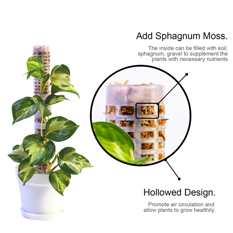 Poste de musgo de plástico api - Sphagnum Moss Dry reseña y precio