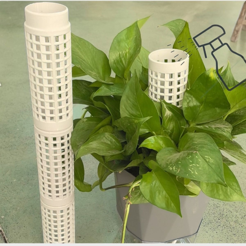 Columnas verticales modulares  - Sphagnum Moss Dry reseña y precio